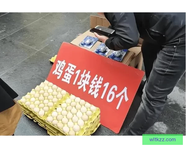 不要塞鸡蛋了已经4个了！再塞小心“爆仓”啦！ 